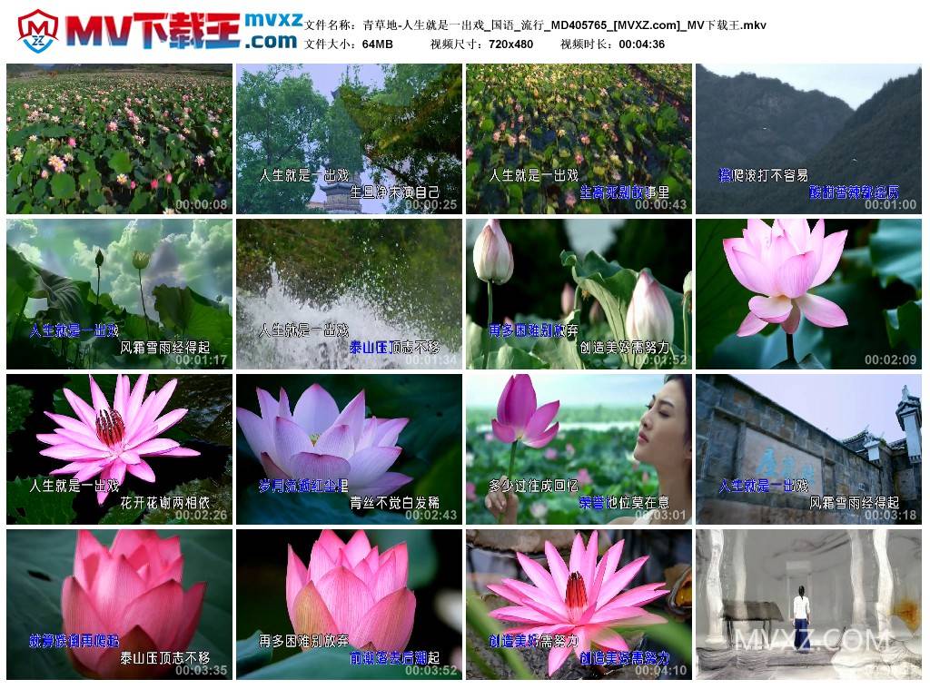 青草地-人生就是一出戏_国语_流行_MD405765